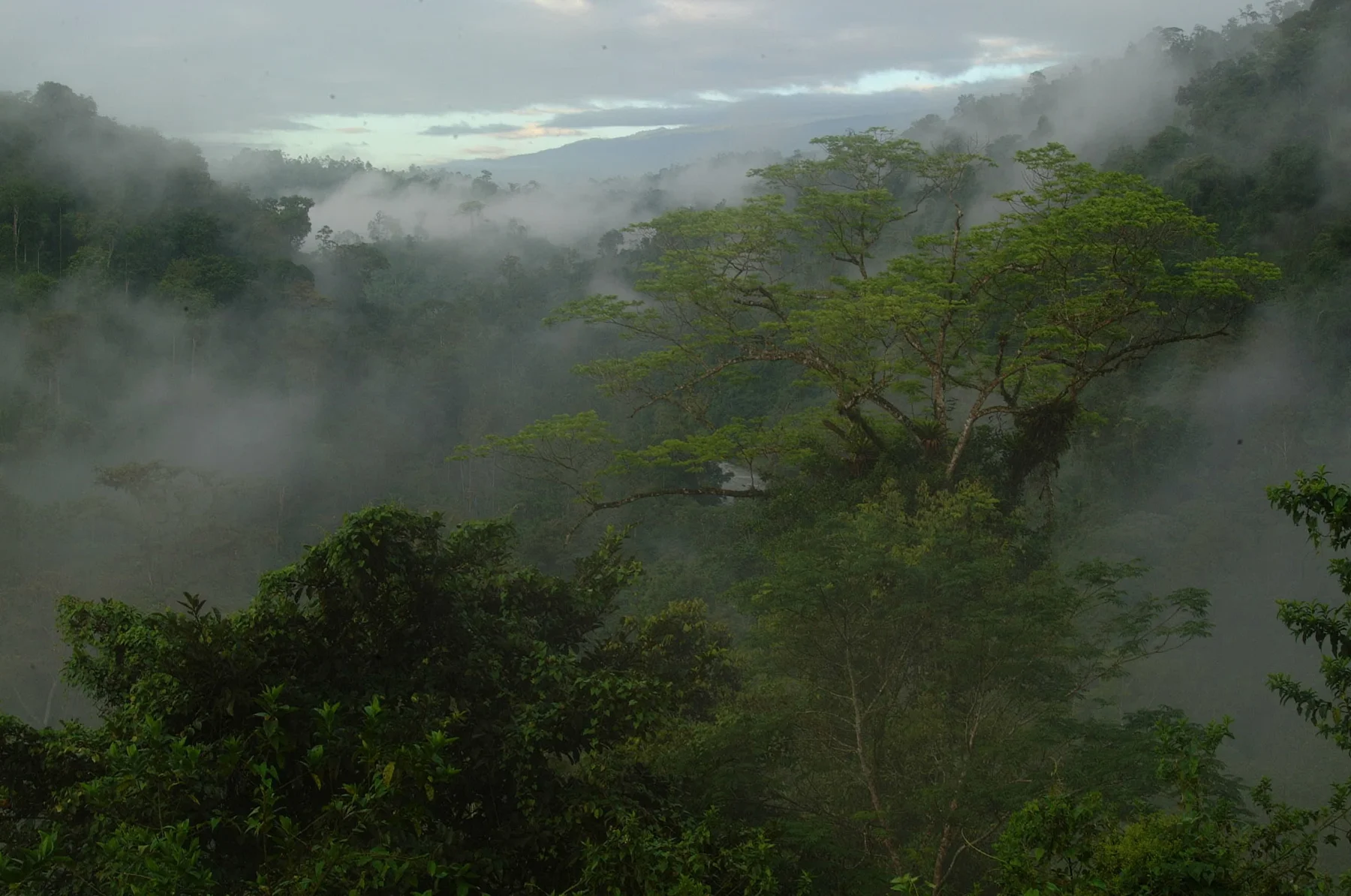 Lush mountain valley scenery in Costa Rica's Central Valley